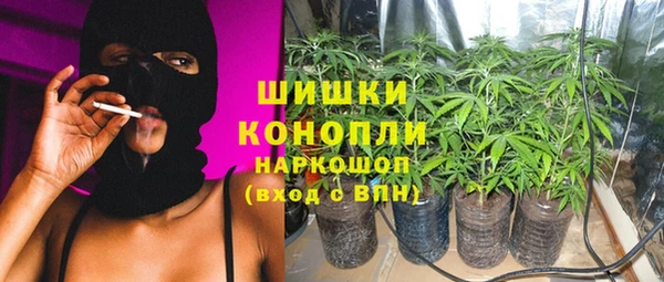 СК Алзамай
