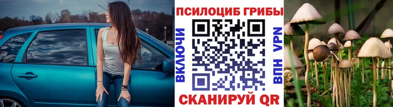Галлюциногенные грибы ЛСД  Медынь 